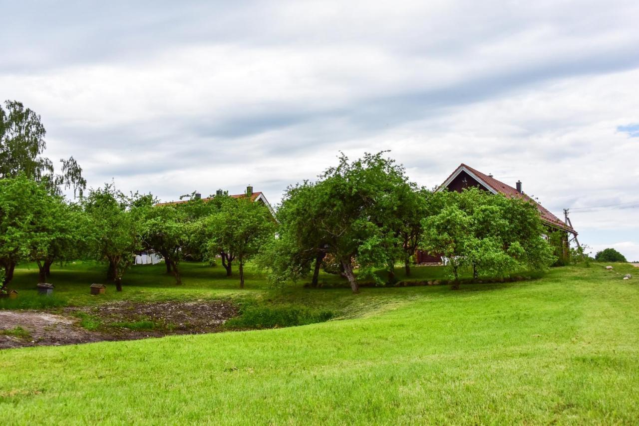 Sunny Beaver B&B Trakai Bagian luar foto