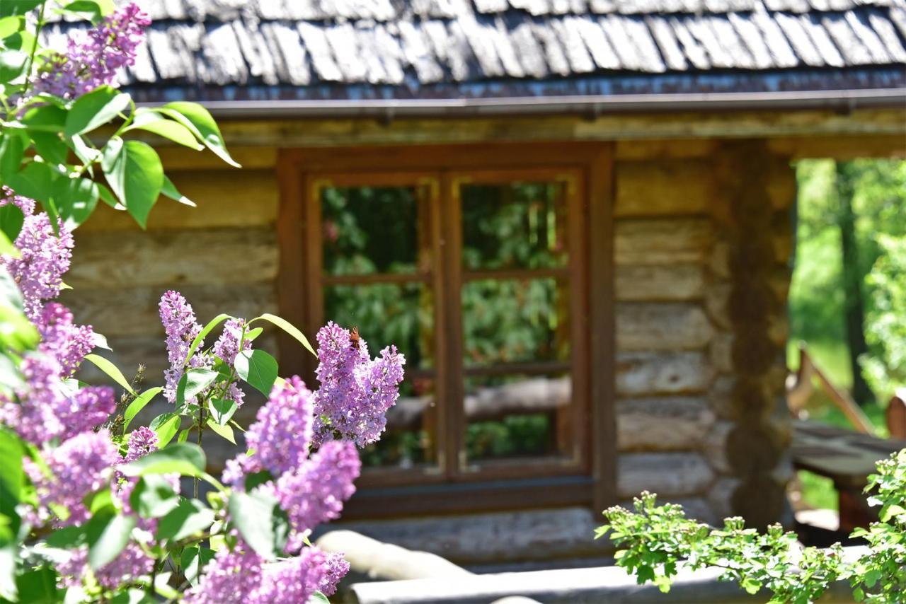 Sunny Beaver B&B Trakai Bagian luar foto