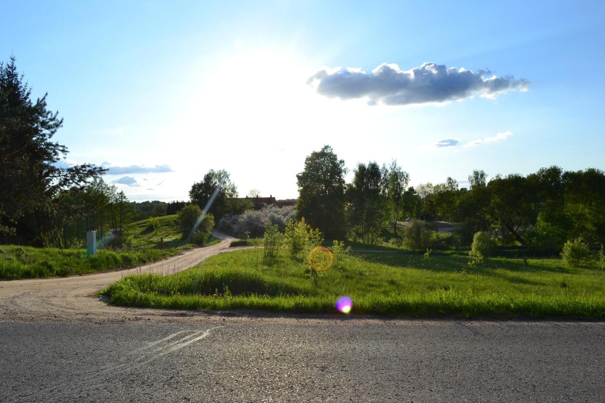 Sunny Beaver B&B Trakai Ruang foto